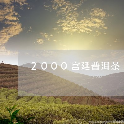 2000宫廷普洱茶/2023070963937