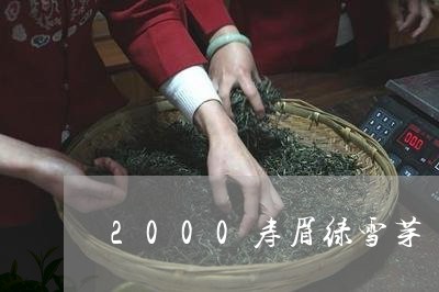 2000寿眉绿雪芽/2023120438273