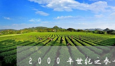 2000年世纪之春普洱茶价格/2023082602715