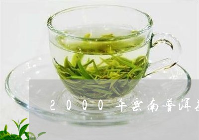 2000年云南普洱茶/2023100817362