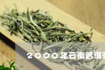 2000年云南普洱茶生茶价格/2023110513934