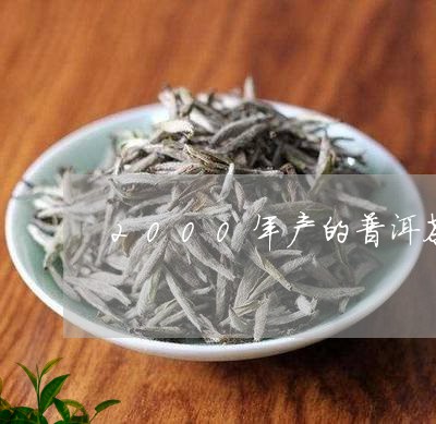 2000年产的普洱茶/2023061806279