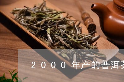 2000年产的普洱茶/2023092851583