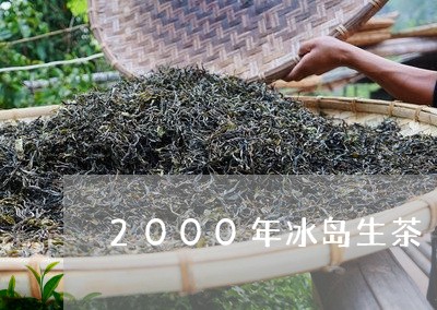 2000年冰岛生茶/2023042633825