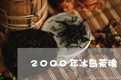 2000年冰岛茶魂/2023042649372