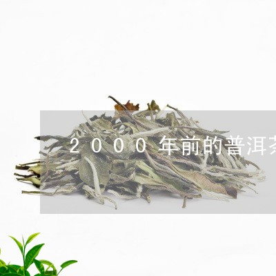 2000年前的普洱茶/2023072493826