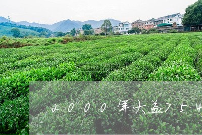 2000年大益7542普洱茶价格/2023060300797