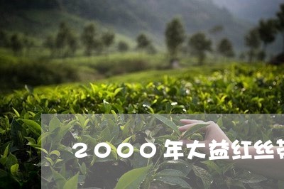 2000年大益红丝带/2023092157161