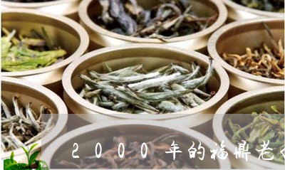 2000年的福鼎老白茶/2023092282825