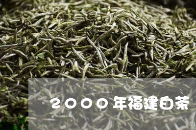 2000年福建白茶/2023120509269