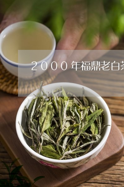 2000年福鼎老白茶贡眉价格/2023082617482