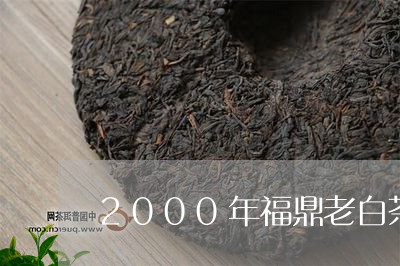 2000年福鼎老白茶贡眉价格/2023111627271