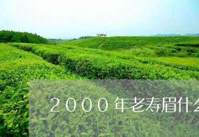 2000年老寿眉什么样/2023092498461