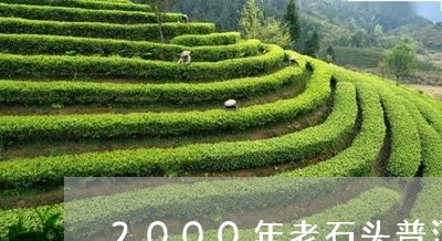 2000年老石头普洱茶/2023102592703