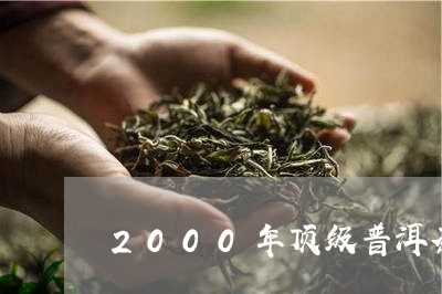 2000年顶级普洱茶/2023062324958