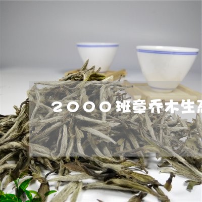 2000班章乔木生态饼茶大益/2023053174949