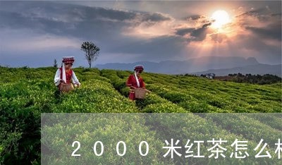 2000米红茶怎么样/2023071367147