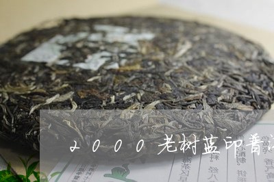 2000老树蓝印普洱茶值钱吗/2023053065948