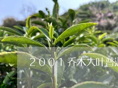 2001乔木大叶普洱茶/2023082880806