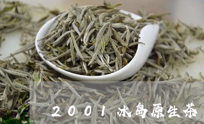 2001冰岛原生茶/2023061265307