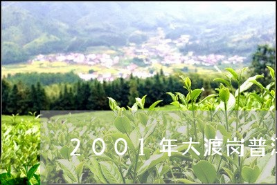 2001年大渡岗普洱茶/2023122021713