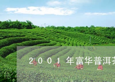 2001年富华普洱茶/2023062875939