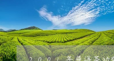 2001年普洱茶功效/2023100843959