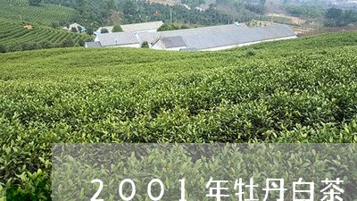 2001年牡丹白茶/2023071353937