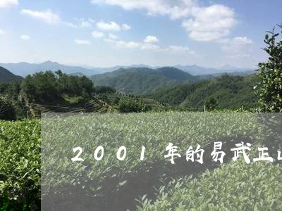 2001年的易武正山/2023092309261