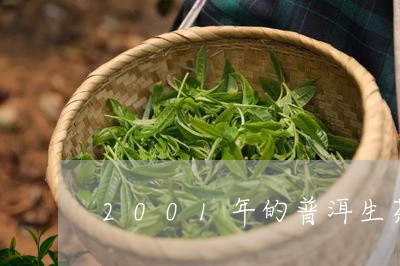 2001年的普洱生茶/2023061373157