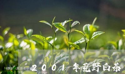 2001年荒野白茶/2023071320583