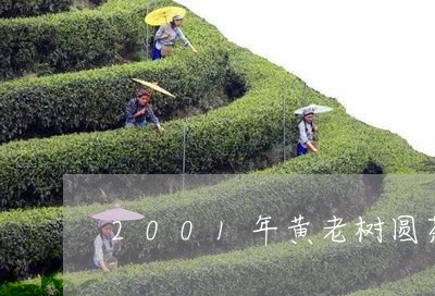 2001年黄老树圆茶/2023071636139