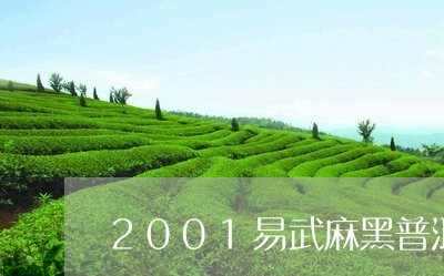 2001易武麻黑普洱茶/2023102469271