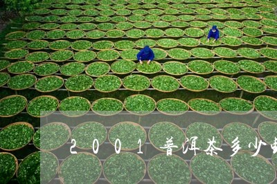 2001普洱茶多少钱/2023080171793