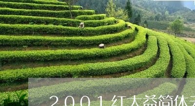 2001红大益简体云/2023092117050