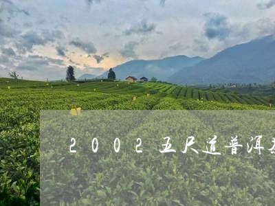 2002五尺道普洱茶/2023062556168