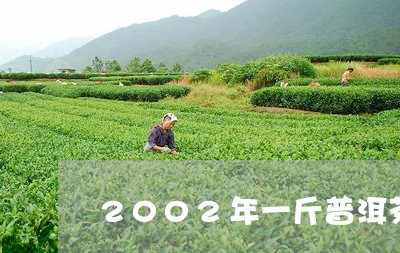 2002年一斤普洱茶/2023092979681