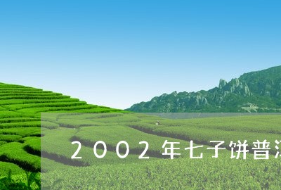 2002年七子饼普洱王价格/2023052746352