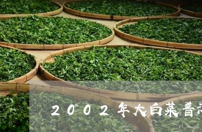 2002年大白菜普洱茶特点/2023110278252