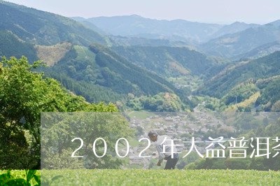 2002年大益普洱茶砖250克/2023060236140