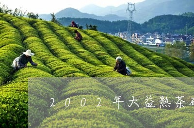 2002年大益熟茶砖/2023061009360