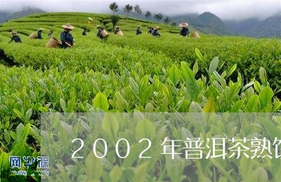 2002年普洱茶熟饼/2023080315258