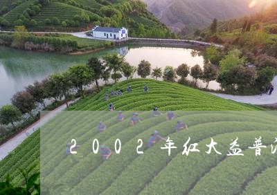 2002年红大益普洱茶/2023102471606