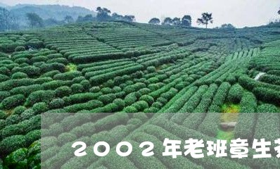 2002年老班章生茶饼价格/2023052744828