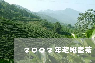 2002年老班章茶/2023042785048