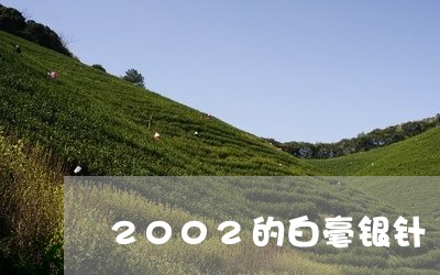 2002的白毫银针/2023120661402