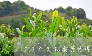 2002钧泰号普洱茶/2023100622926