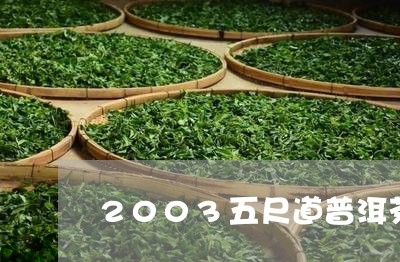 2003五尺道普洱茶/2023100789473