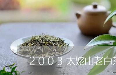 2003太姥山老白茶/2023092738370