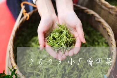 2003小厂普洱茶/2023091502936